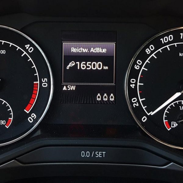 Skoda Kilometerstand Anzeigen