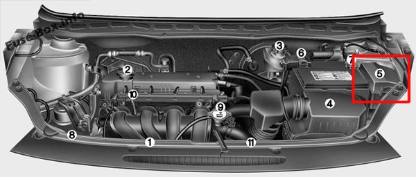 Die Position der Sicherungen im Motorraum (Benzin): Hyundai i20 (2008-2014)