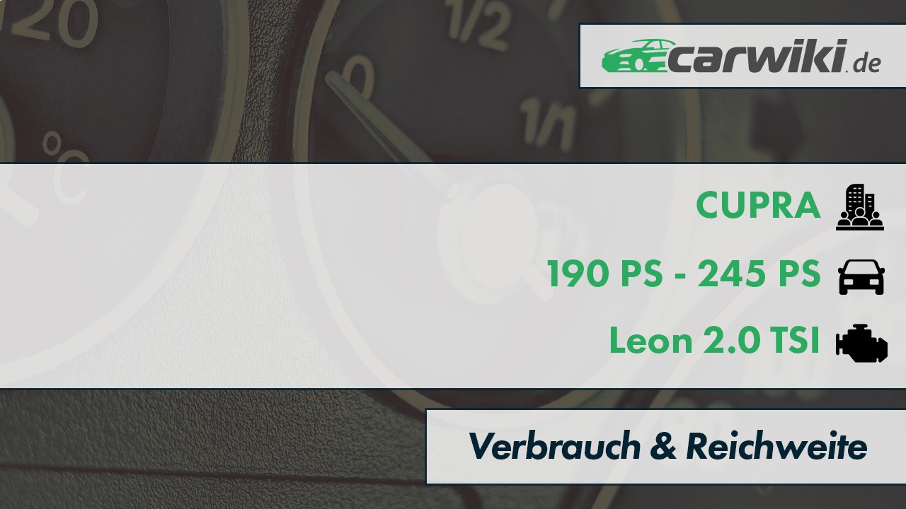 CUPRA Leon 2.0 TSI Verbrauch